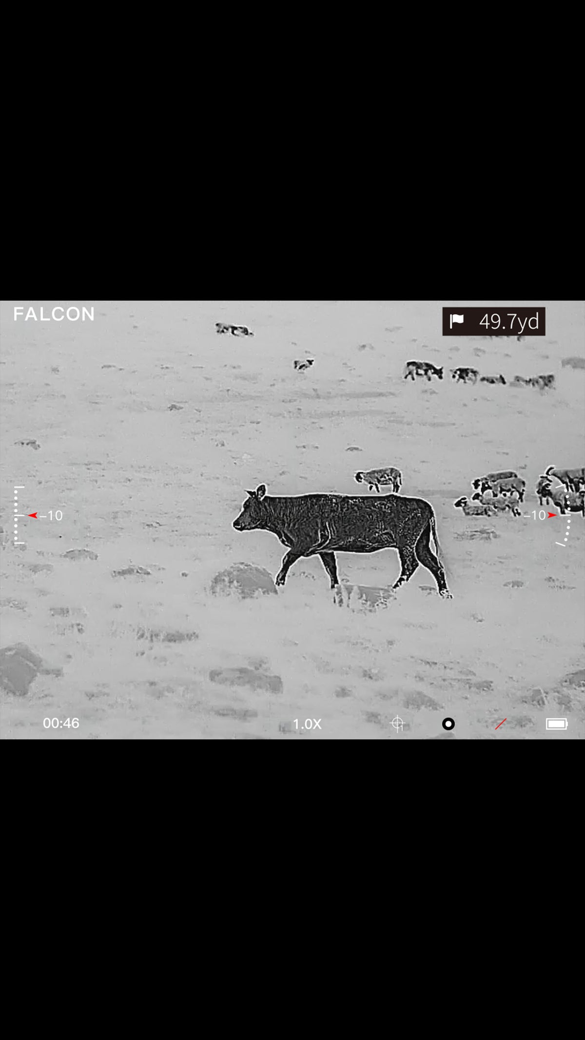 Falcon Optic