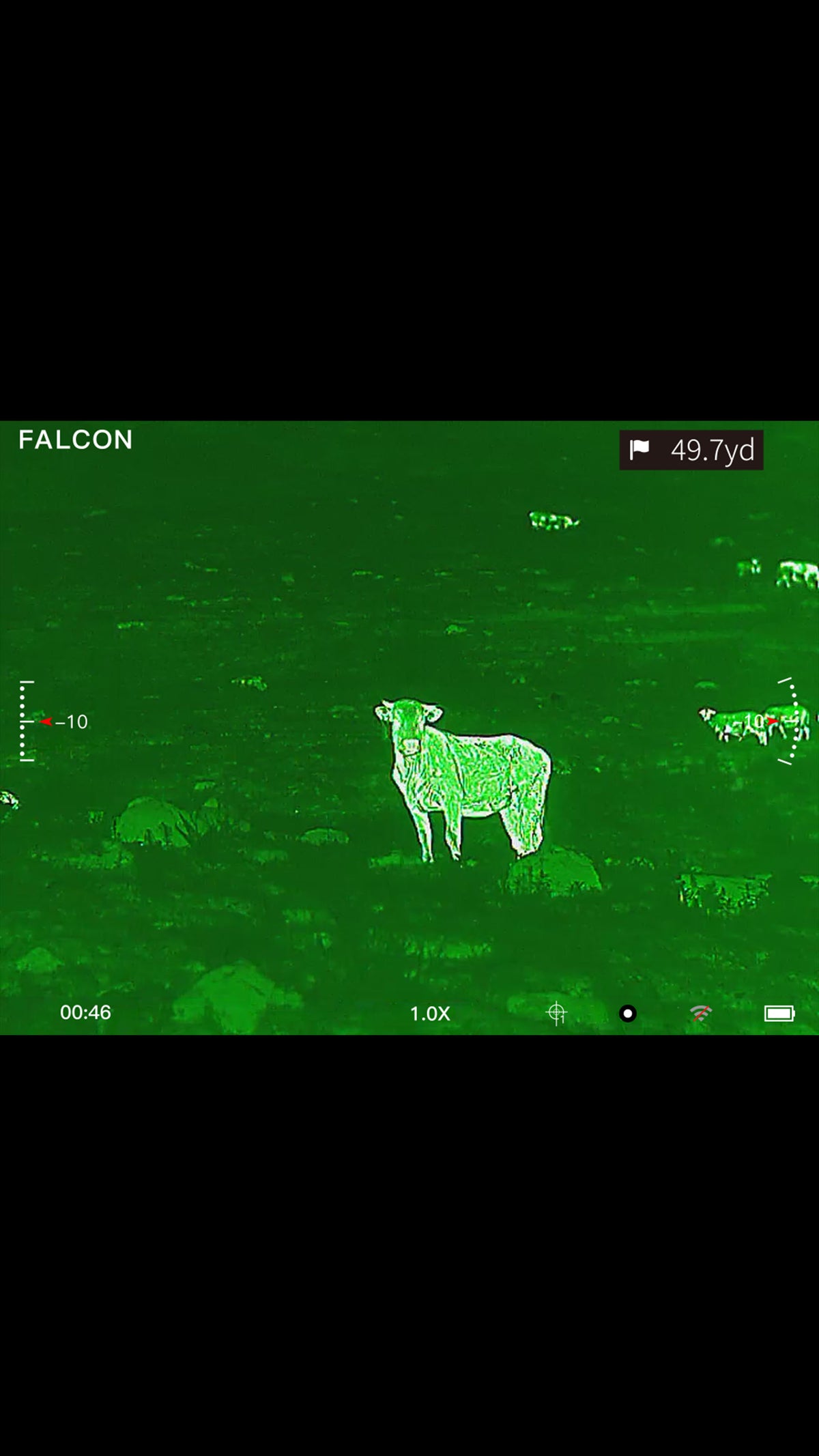 Falcon Optic