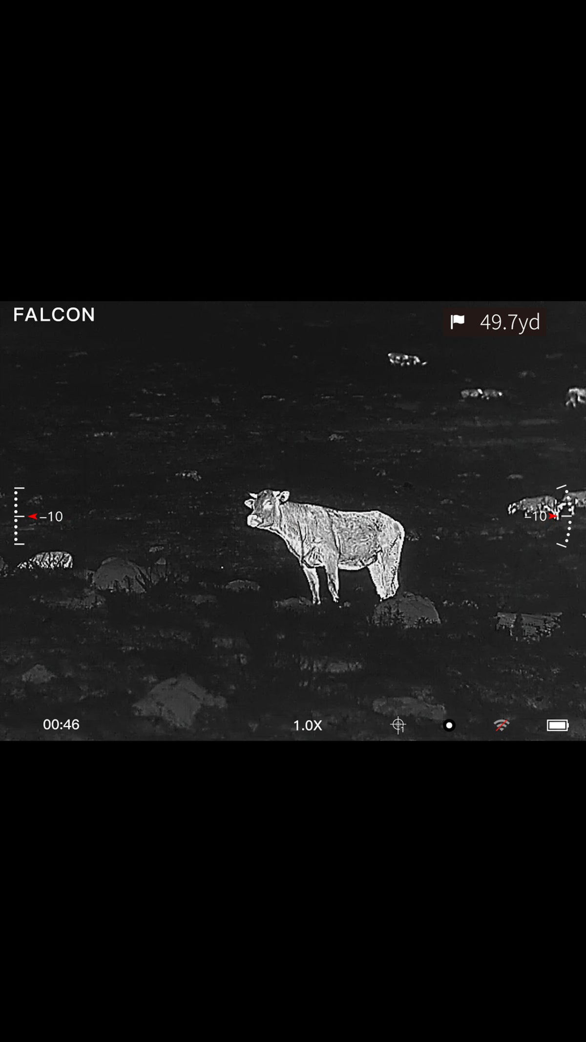 Falcon Optic