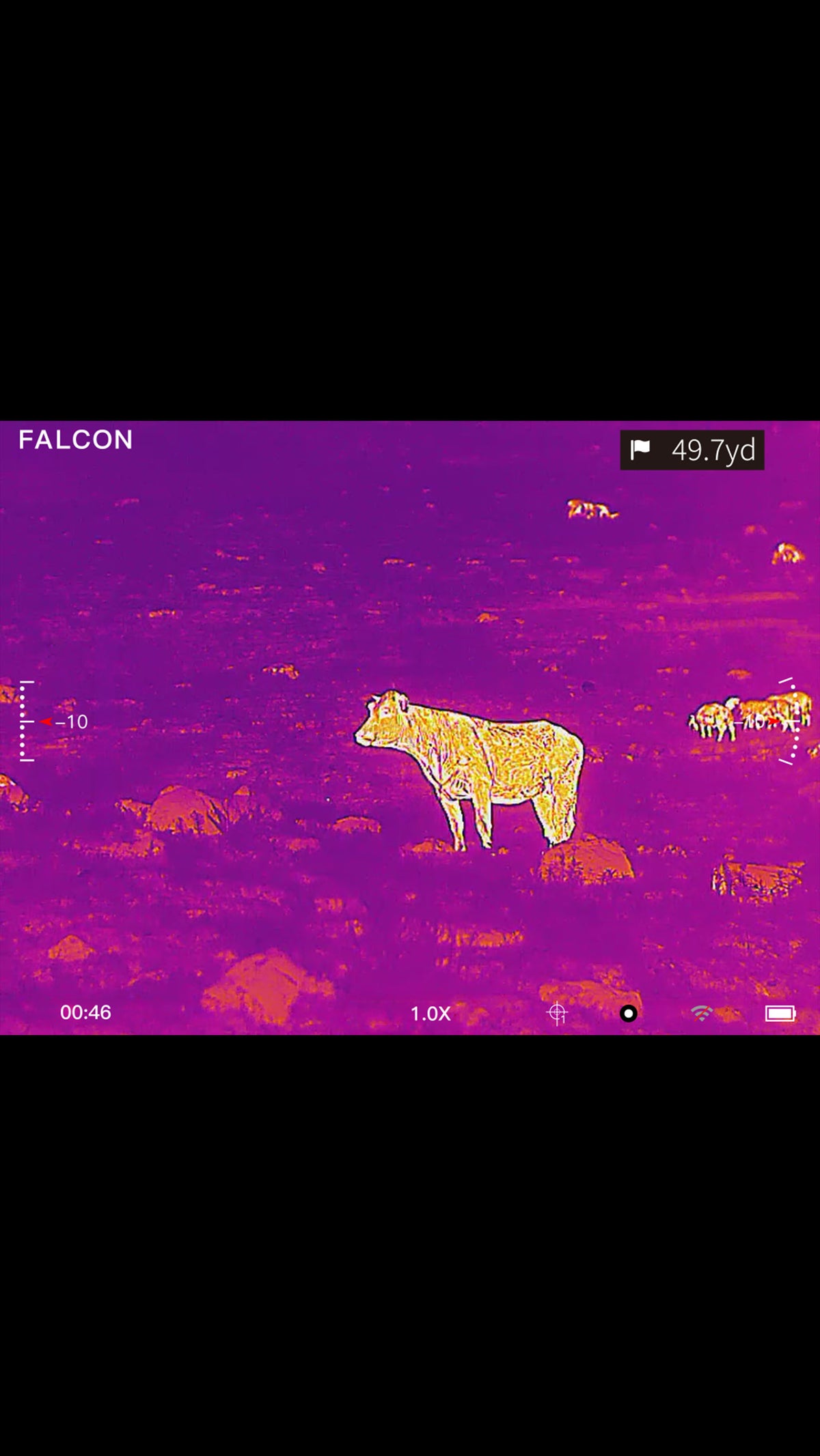 Falcon Optic