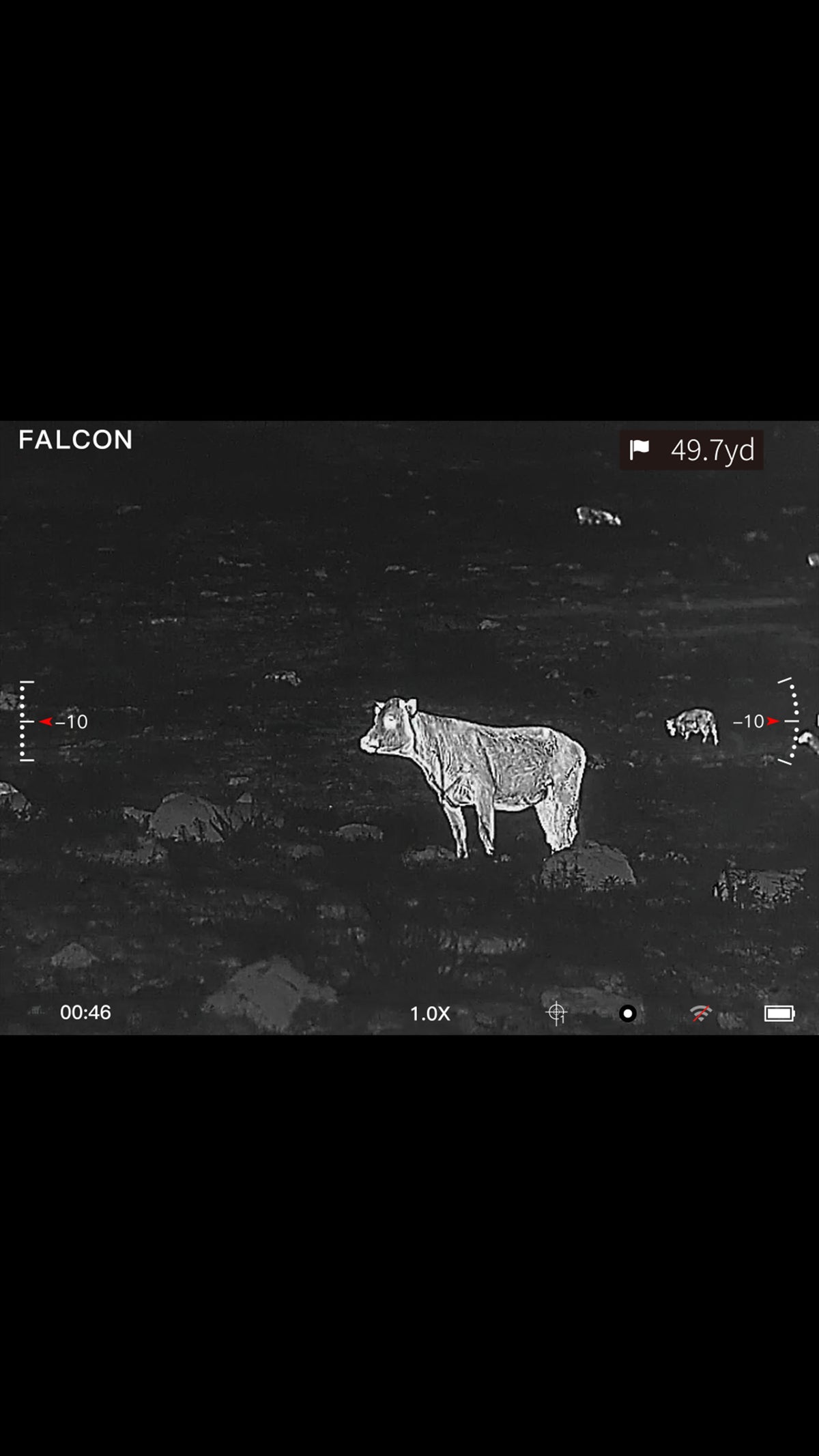 Falcon Optic